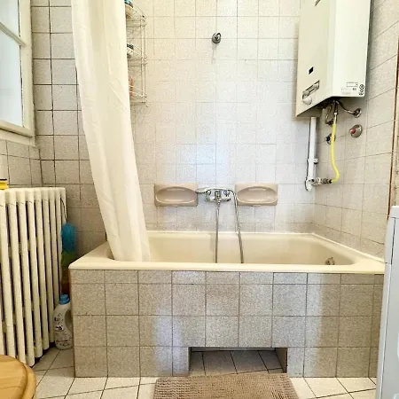 Among Trees Будапешт