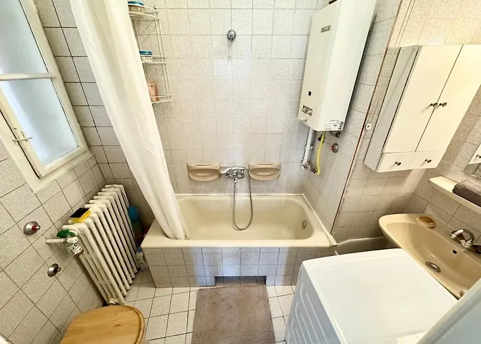 Among Trees Apartament