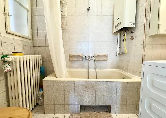 Among Trees Budapesta