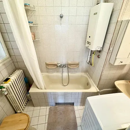 Among Trees Apartamento